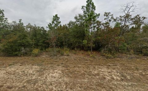 Tbd Devonshire Drive Chipley FL 32428