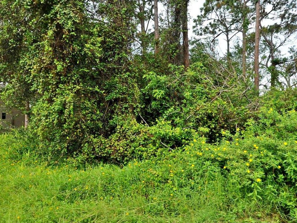 Photo of 655 SE Starfish Avenue, Port St Lucie, FL 34983 (MLS # R10818256)