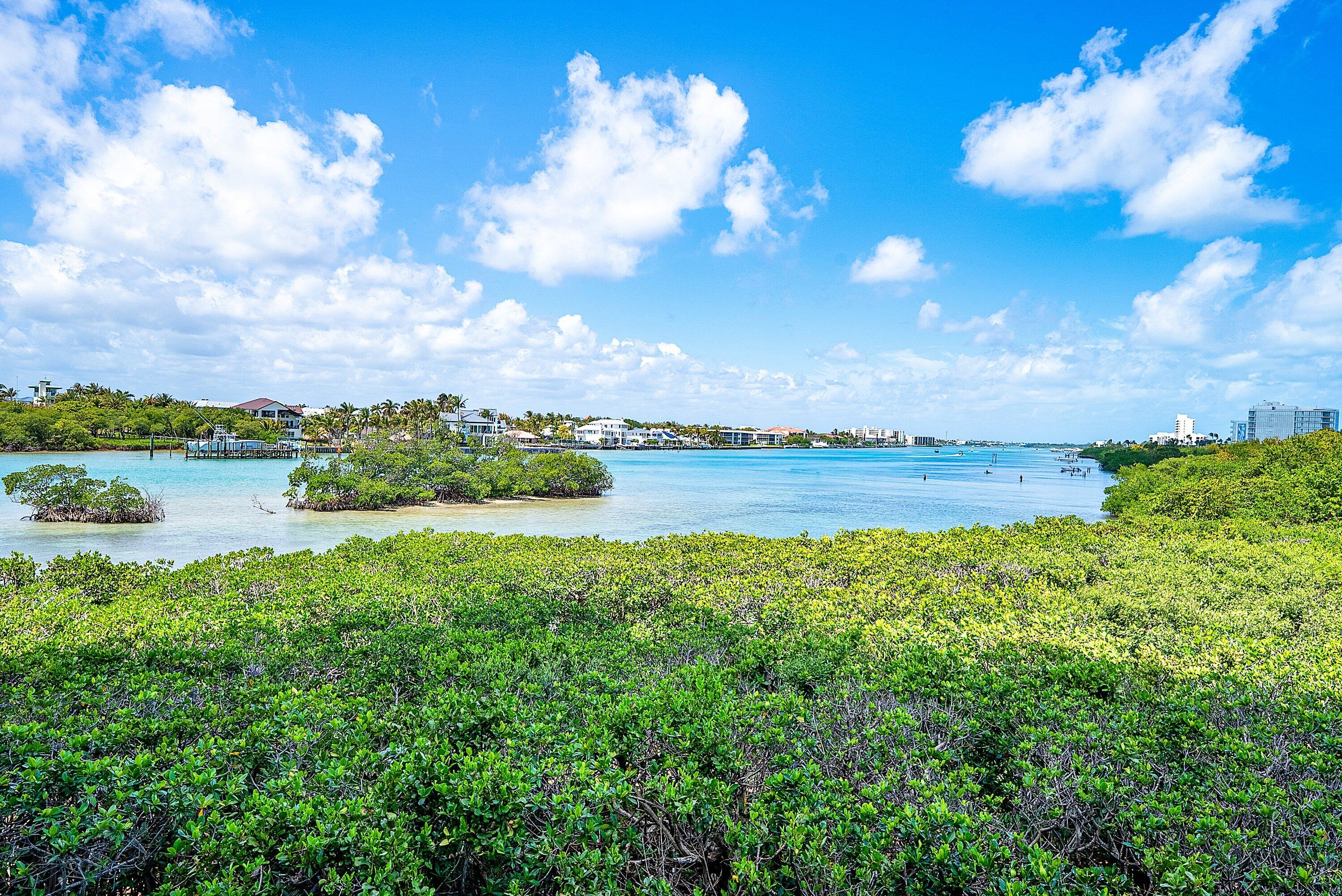 CLIVEDEN JUPITER ISLAND - Residential
