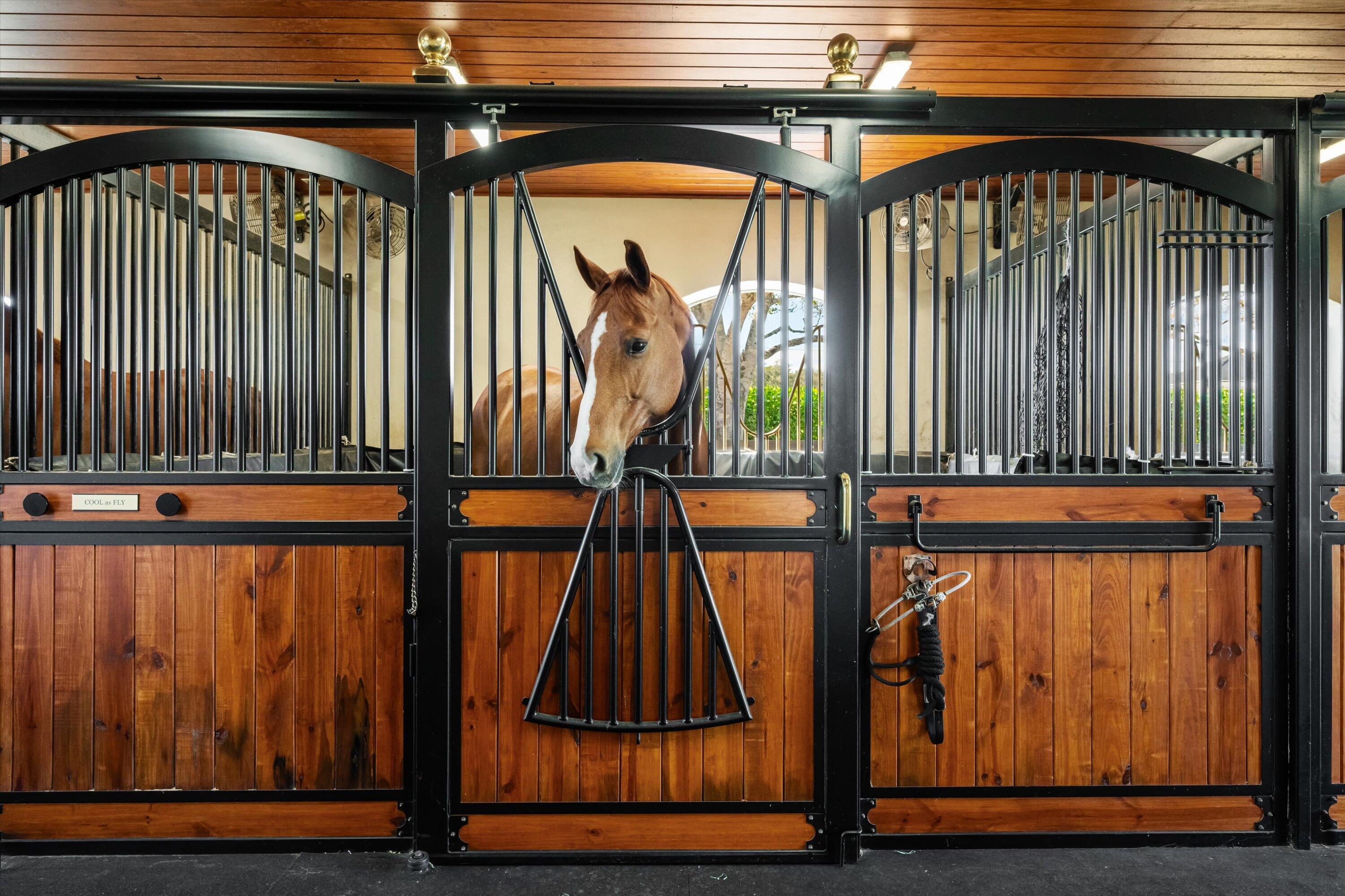 PADDOCK PARK 2 OF WELLINGTON - Residential