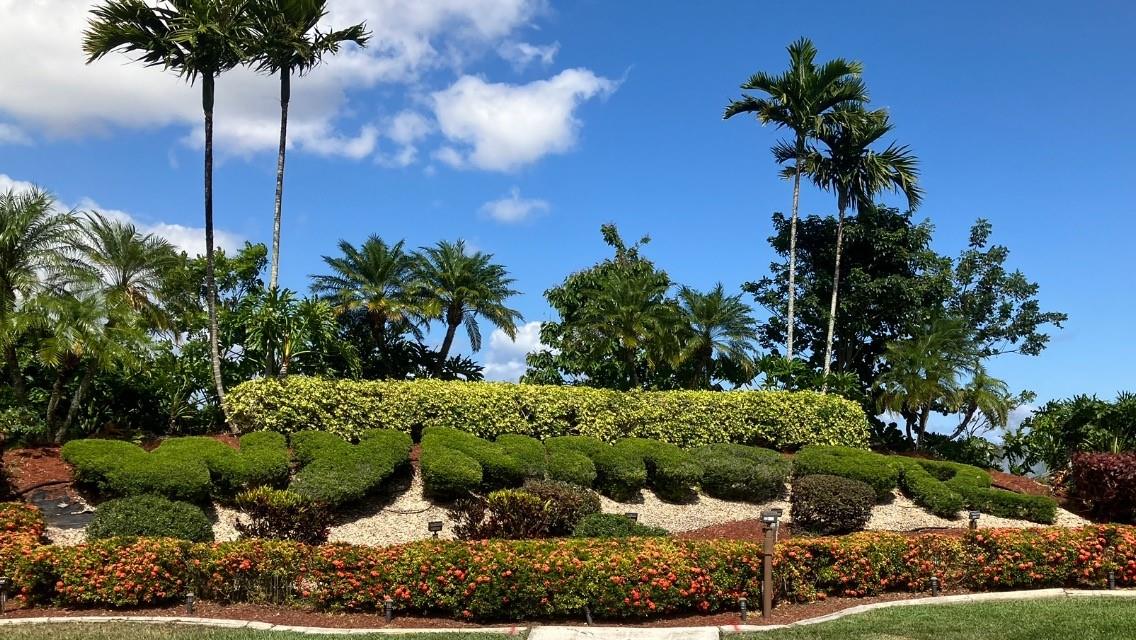 Wynmoor - Residential