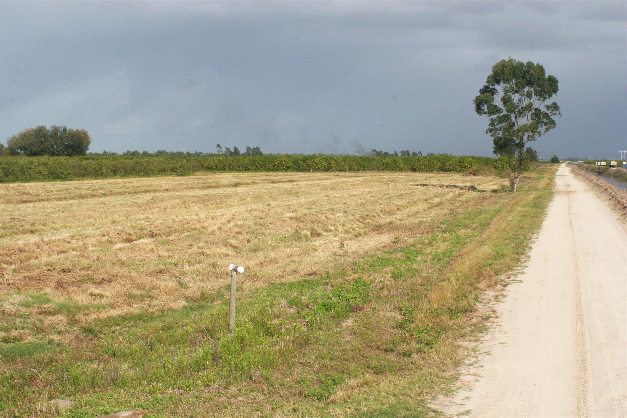 NO, although property is within Orange Avenue Grow - Land