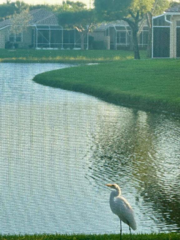 7216 Lombardy Street