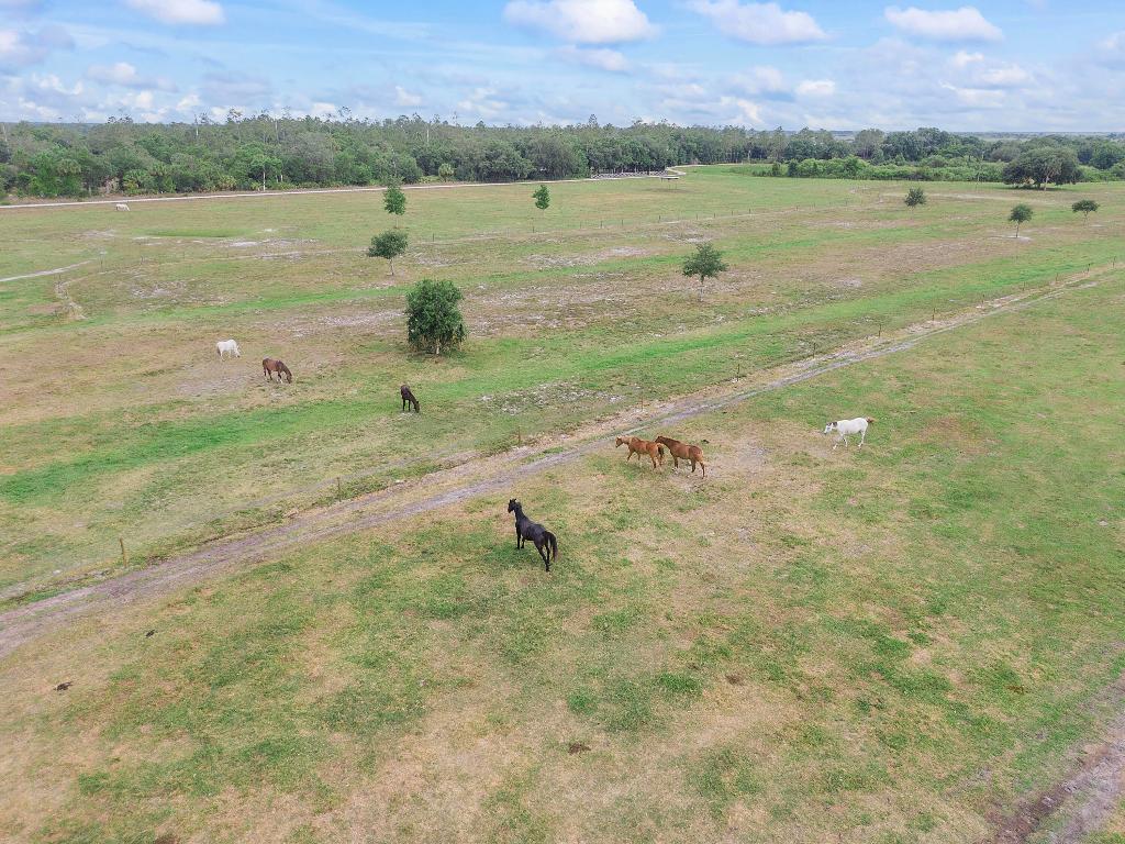 INDIAN HAMMOCK HUNT AND RIDING - Residential