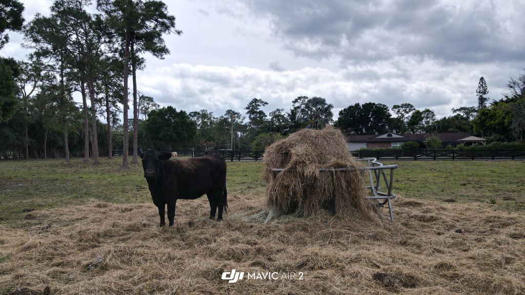 Photo of 161 Tern Circle N, Loxahatchee Groves, FL 33470 (MLS # B26006477)