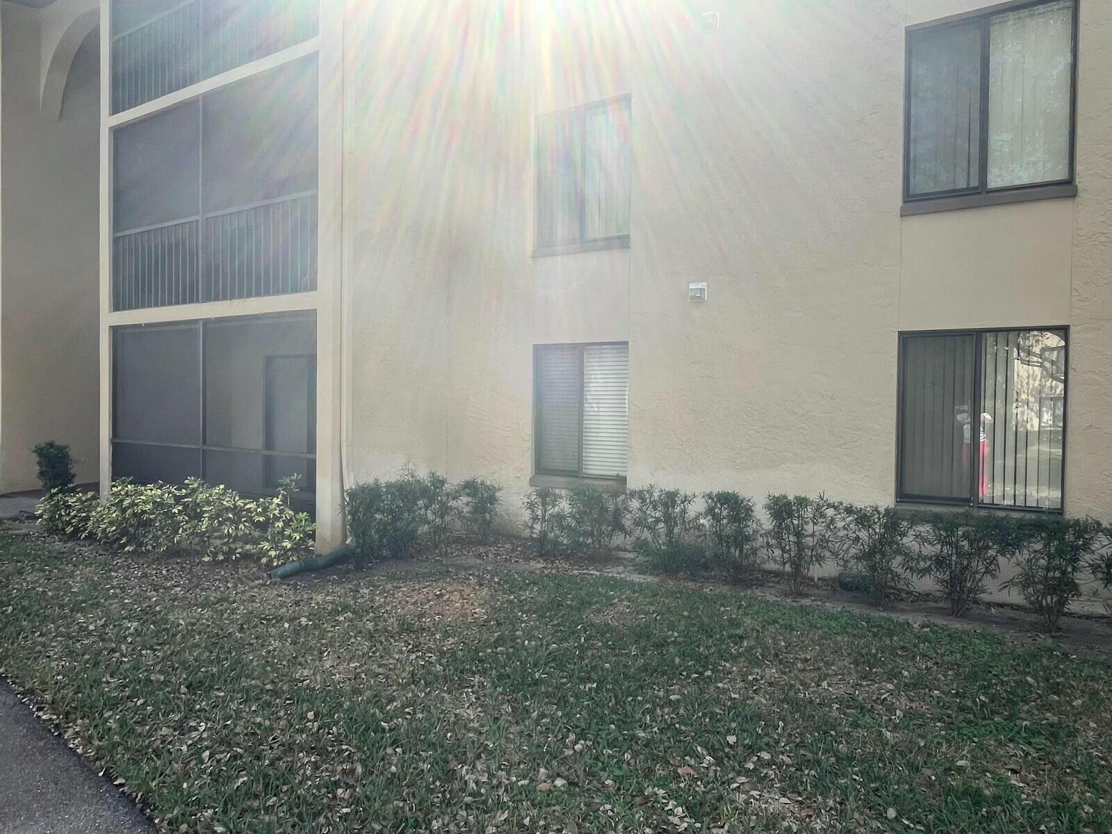209 Foxtail B1 Drive B1