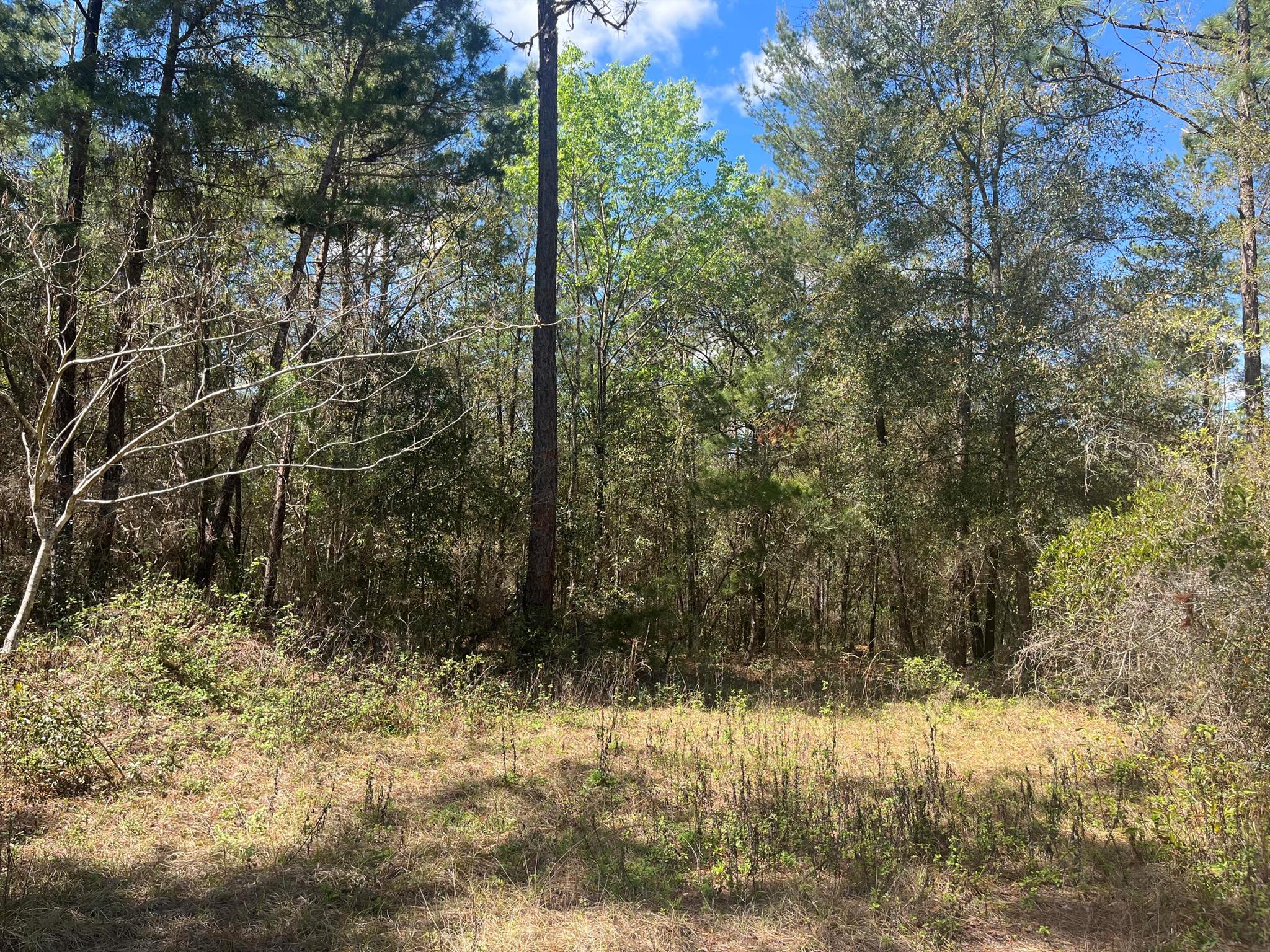 Tbd Martha Drive