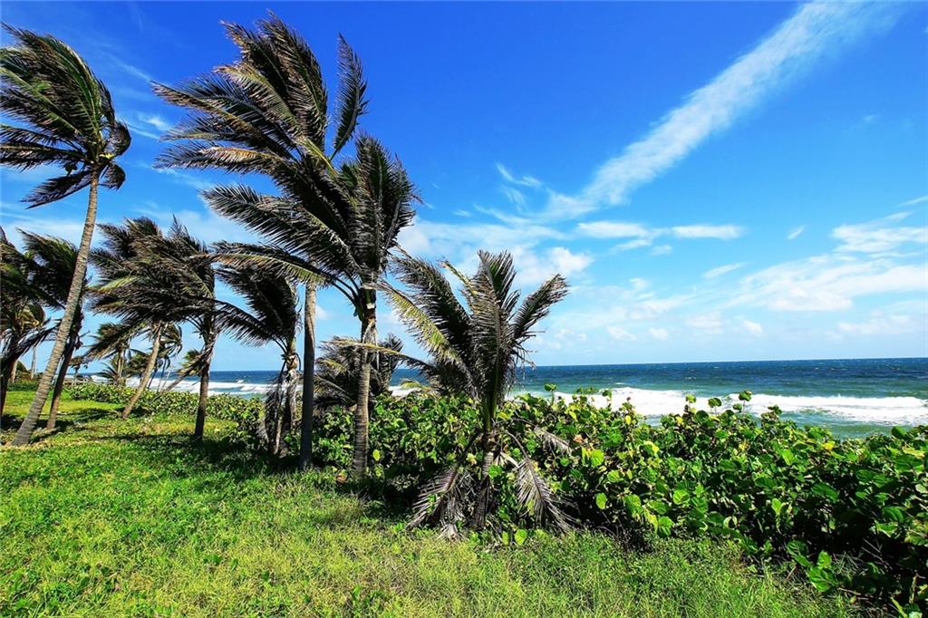 Hillsboro Mile - Residential