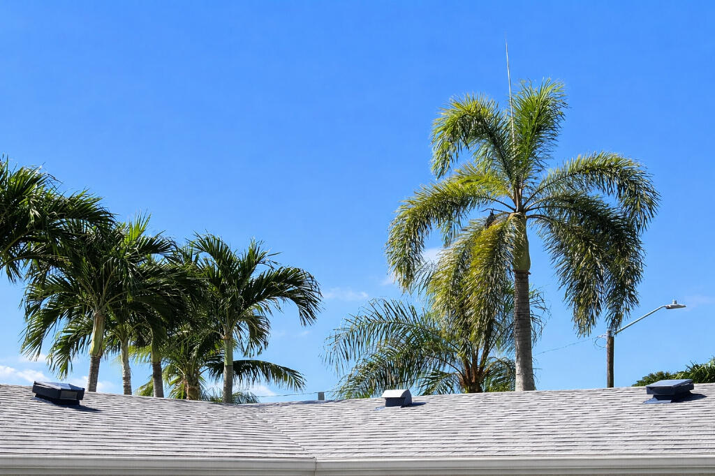 HOLLYWOOD HILLS - Residential