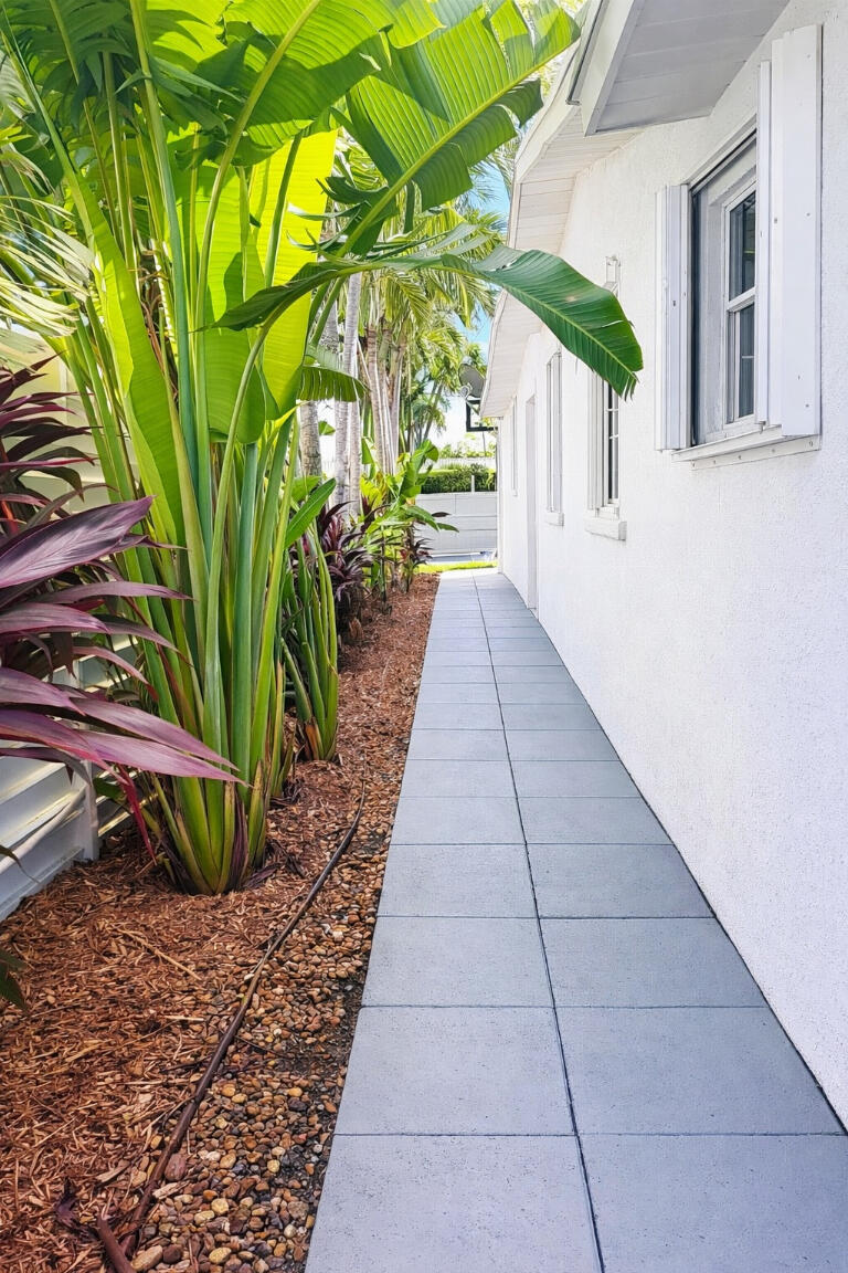 HOLLYWOOD HILLS - Residential