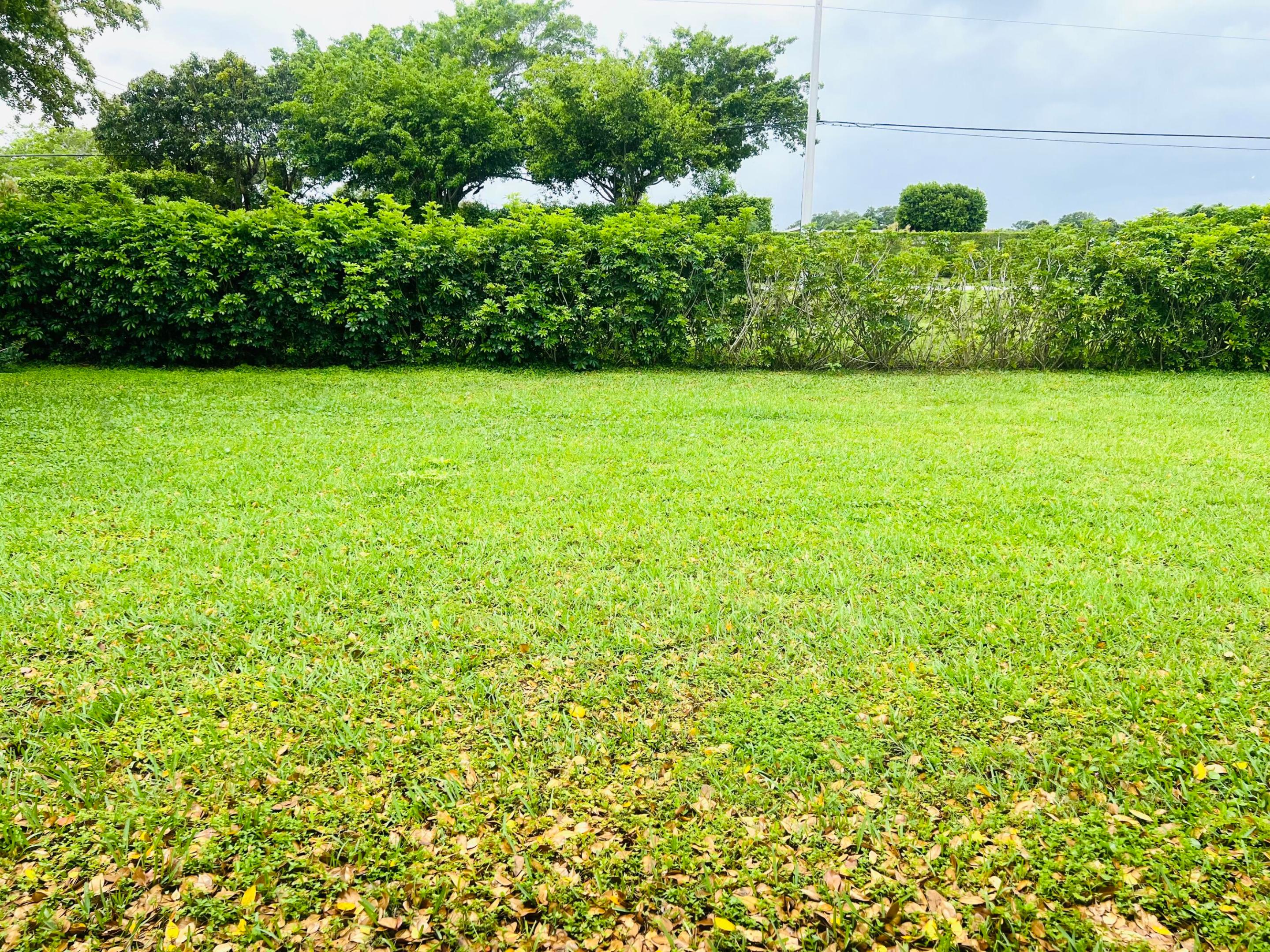 PALM GREENS AT VILLA DEL RAY CONDO - Residential