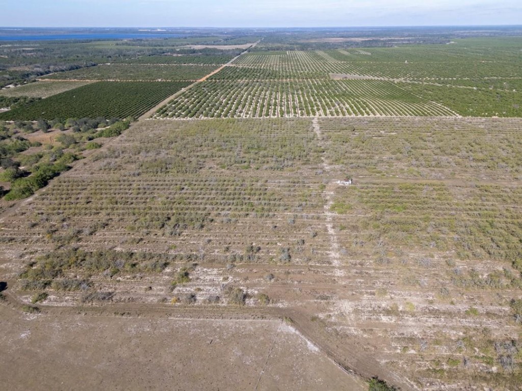 Lake Pythias Estates - Land