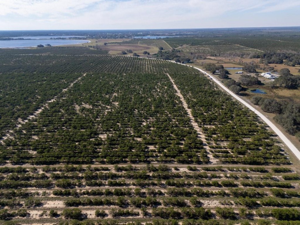 Lake Pythias Estates - Land