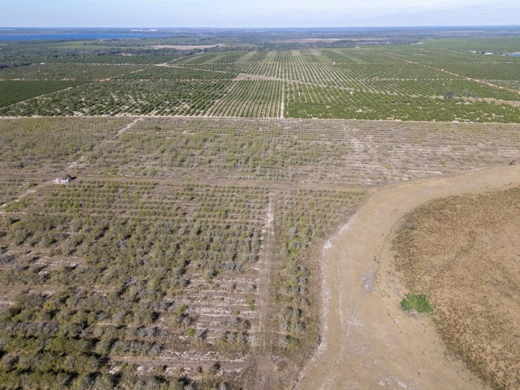 Lake Pythias Estates - Land