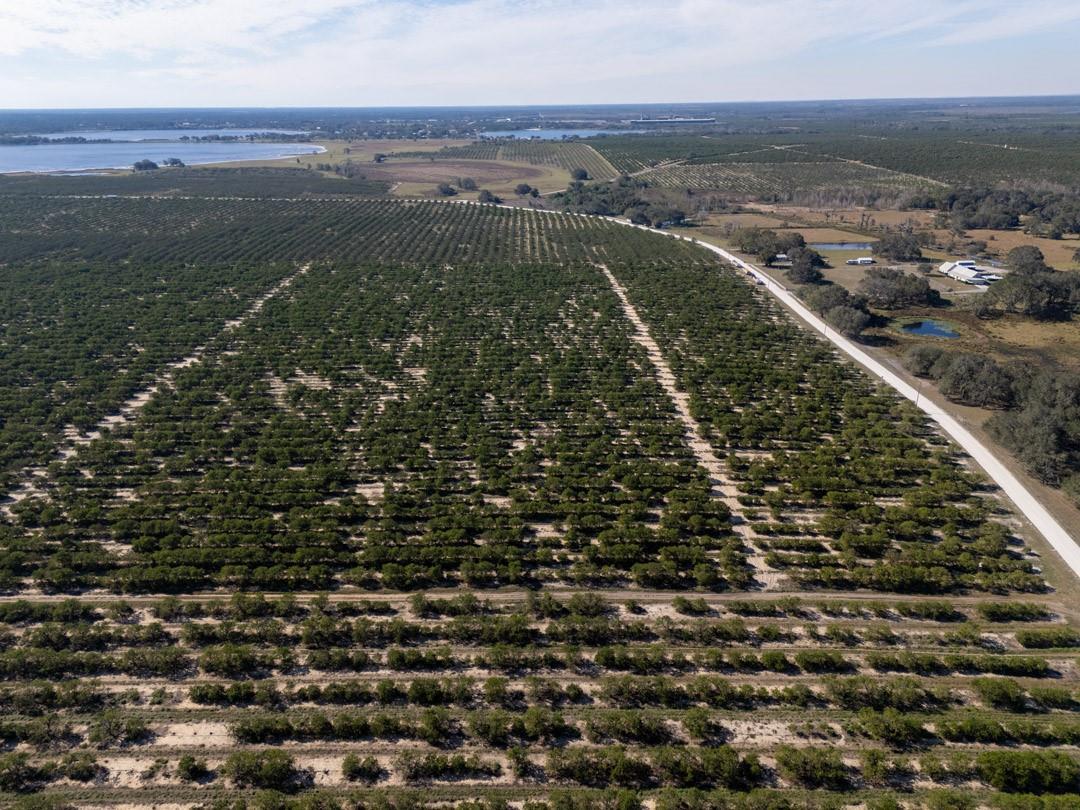 Lake Pythias Estates - Land