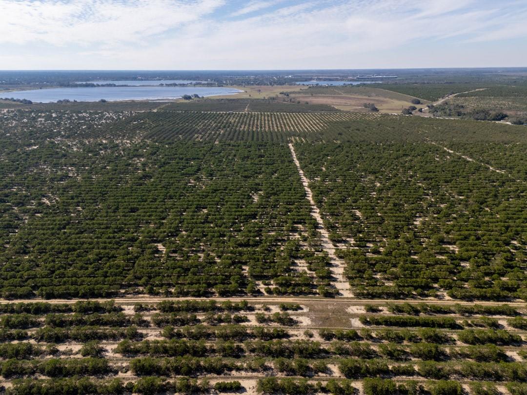 Lake Pythias Estates - Land