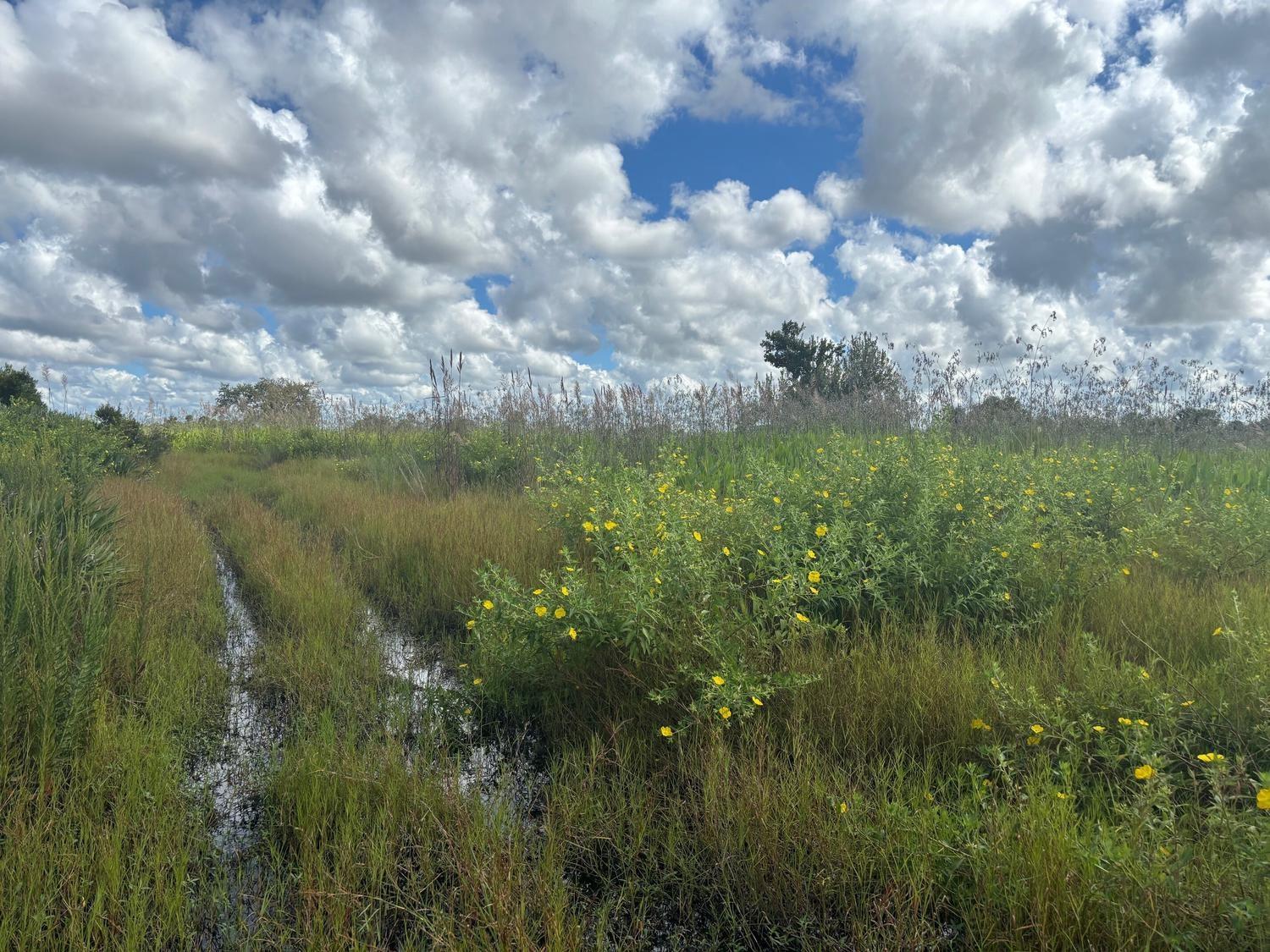 5 Acres in the Viking Estates (prairie), zoned recreational and hunting.
Owner finance available