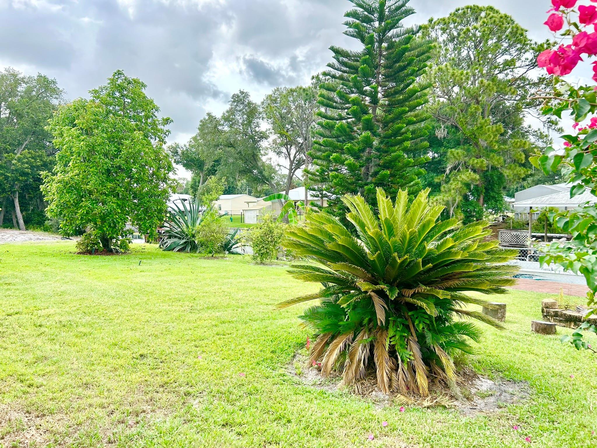 Sun N Lakes - Residential