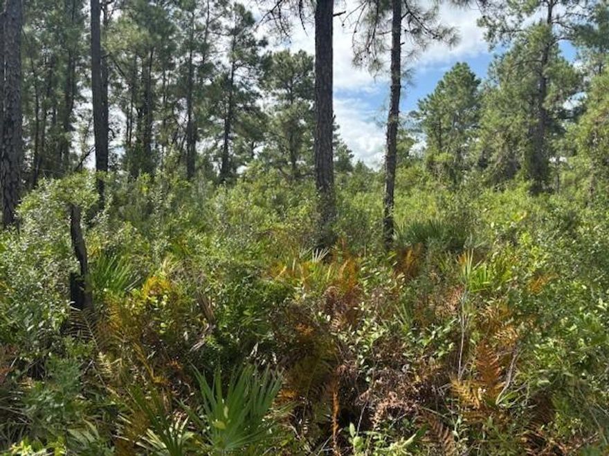 River Ranch Camp Lot. Land next door also available.
Owner financing available with only $1,500 down