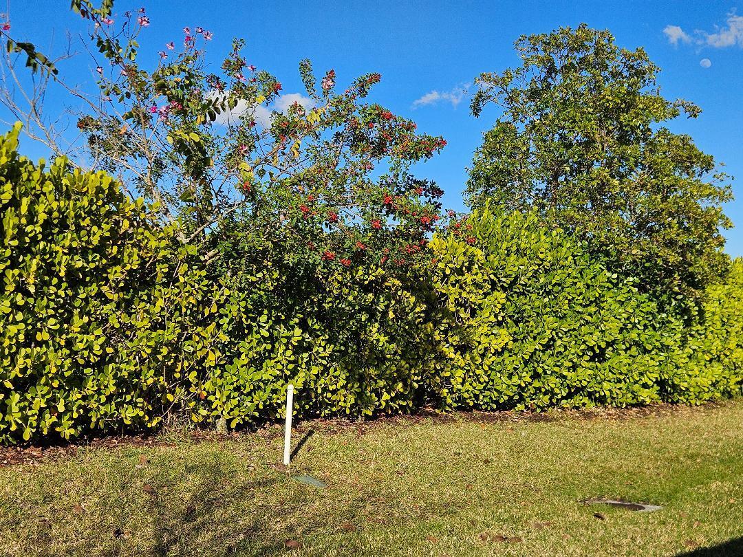 RIVERLAND PARCEL A - PLAT SIX - Residential