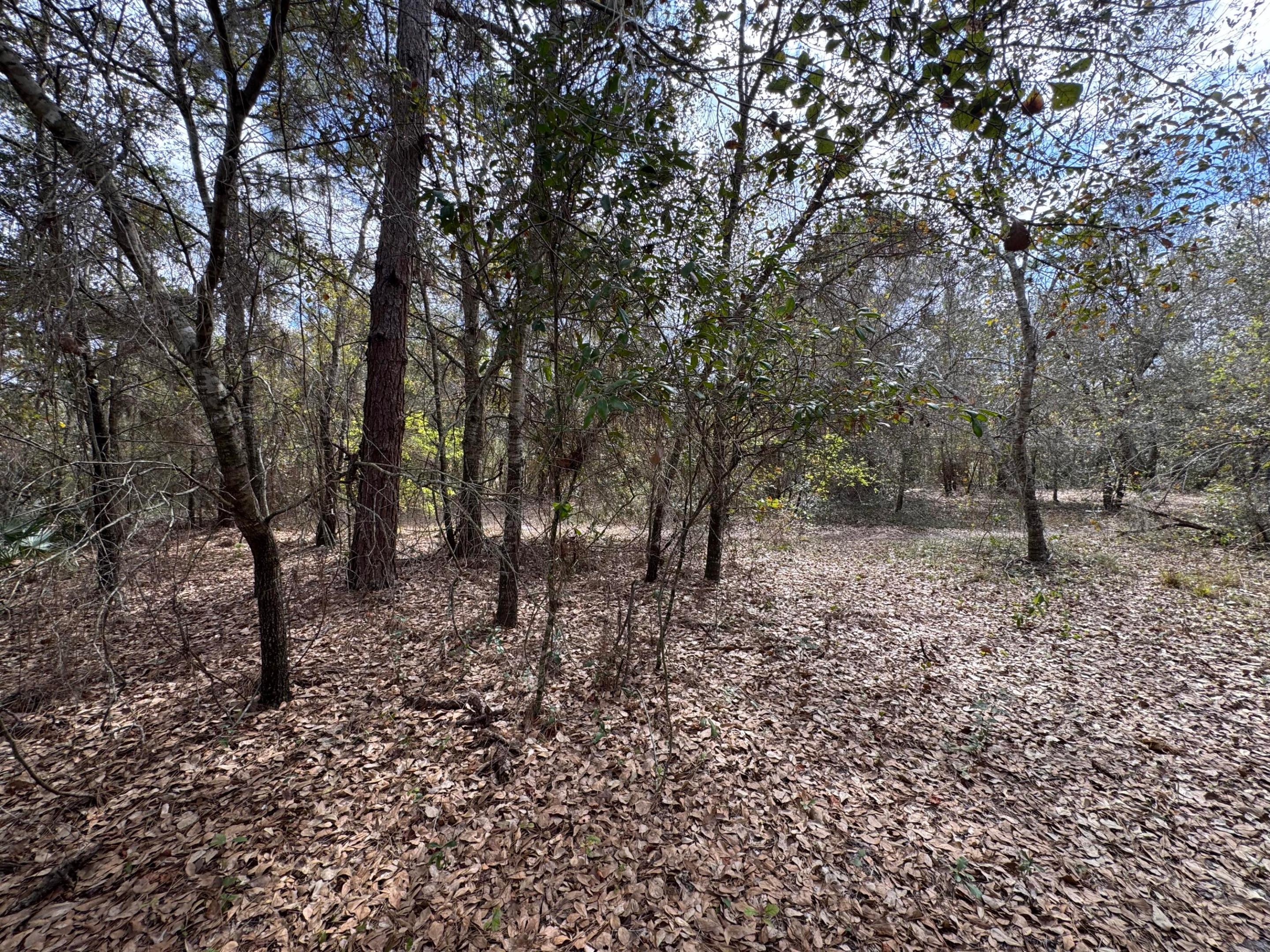 HAF HOP UNIT 2 - Land