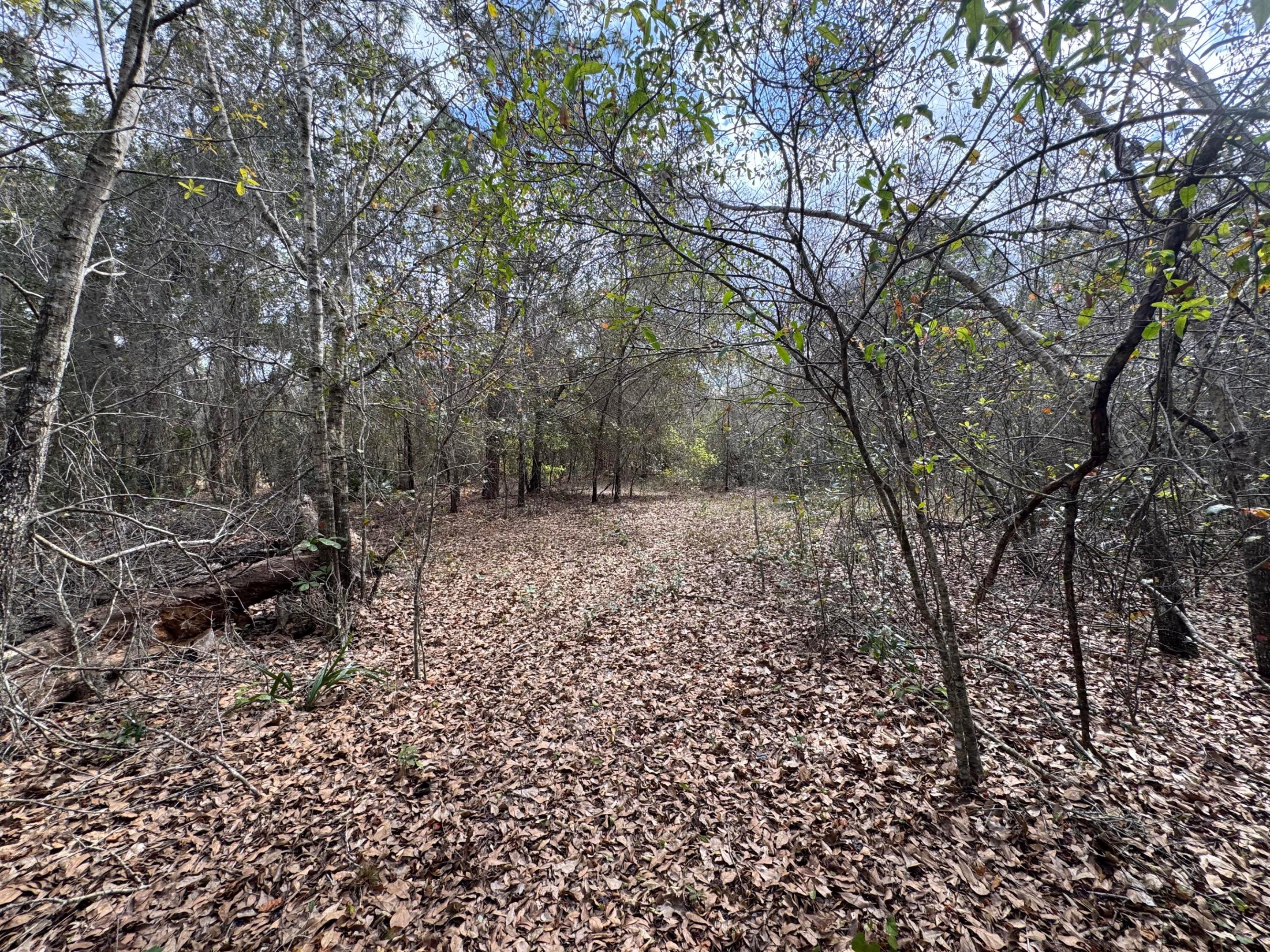 HAF HOP UNIT 2 - Land