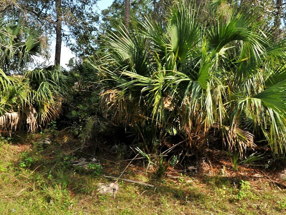 LOT 5 BLK 521 11TH ADD TO PORT CHARLOTTE - Land
