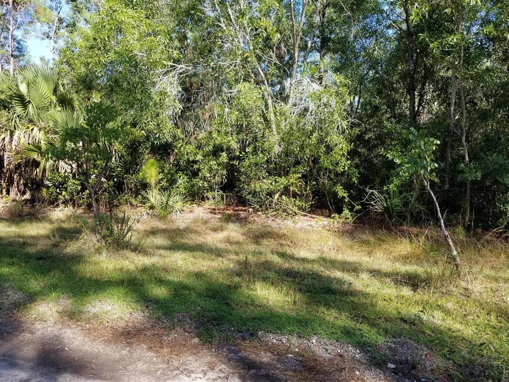 SELLER WILL CONSIDER FINANCING! Private, hard-to-find 4.77 acre lot in Jupiter Farms. Lots of pines and palms on the property. Small canal borders 2 sides for added privacy and good drainage. This gorgeous lot is only 2 lots away from Riverbend Park, tucked away at the end of the street - no through traffic! One lot off pavement. Perfect property to build your equestrian estate or quiet, peaceful dream home convenient to shopping, I-95/Turnpike, 25 minutes to the beach! Come see this prime acreage today!