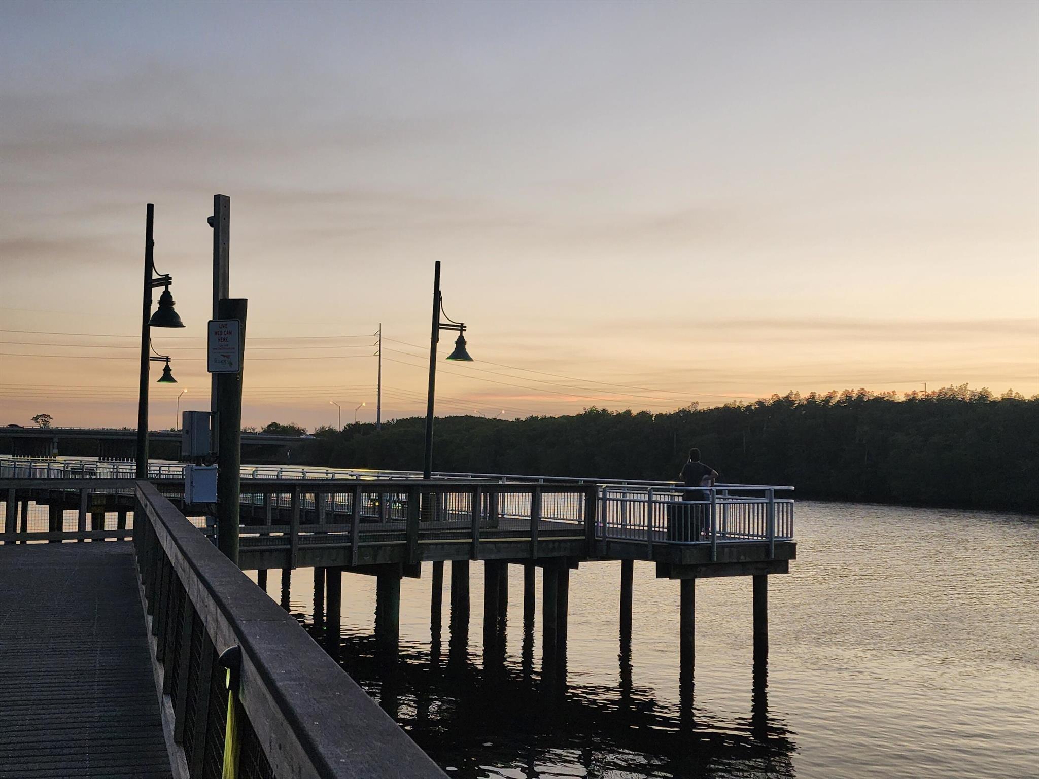 PINE RIDGE AT MARTIN DOWN - Residential