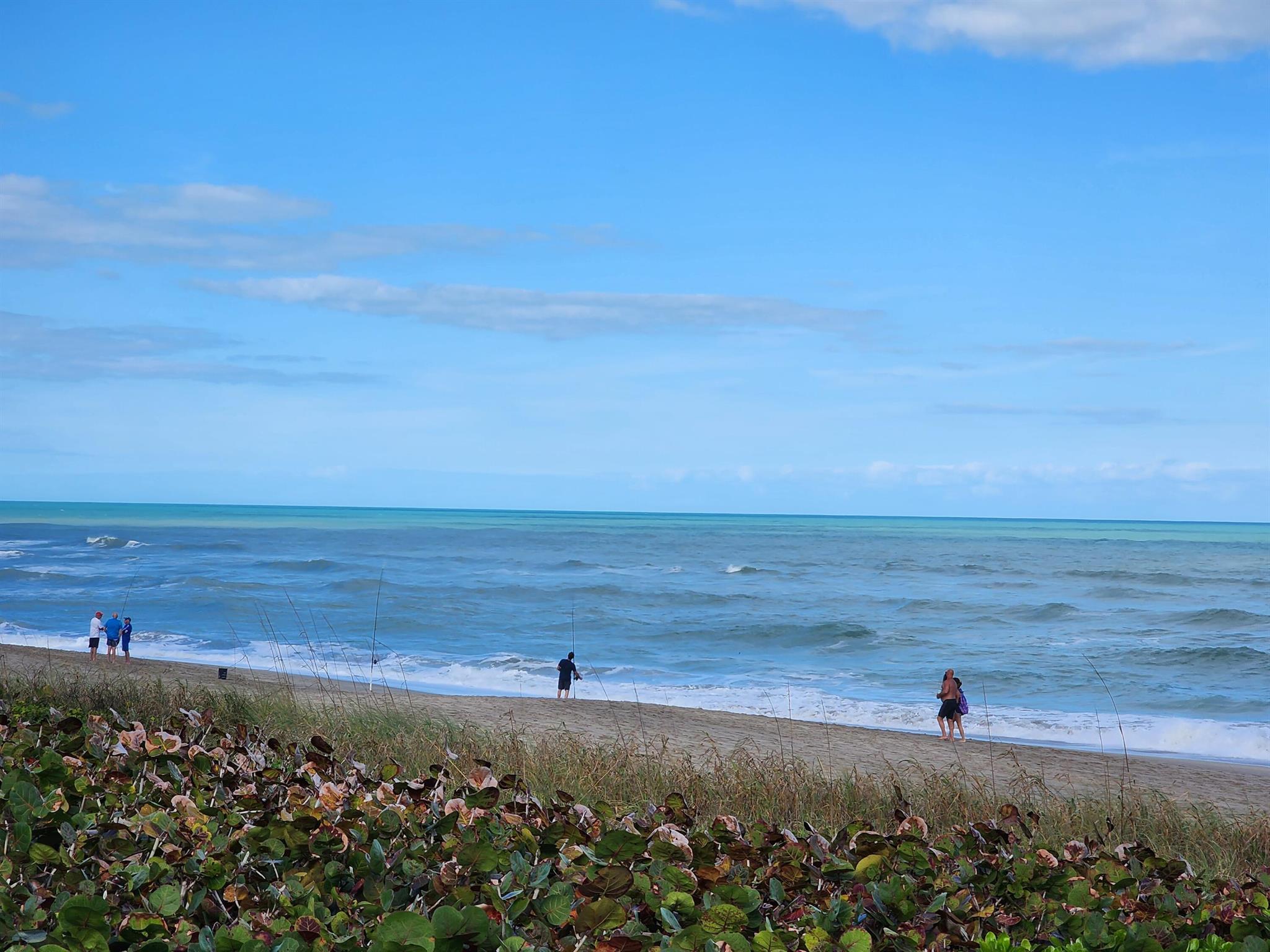 PINE RIDGE AT MARTIN DOWN - Residential