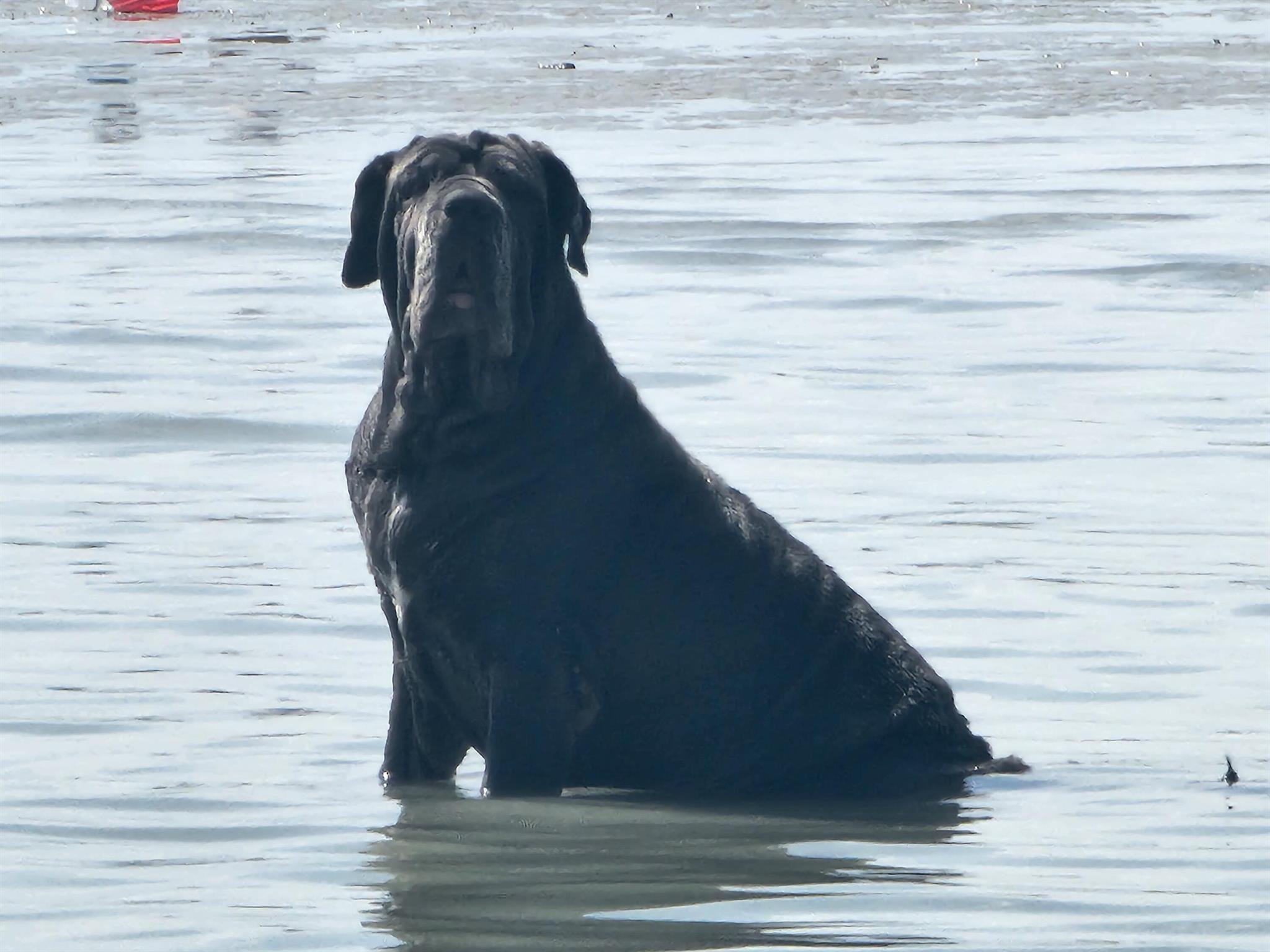 PINE RIDGE AT MARTIN DOWN - Residential