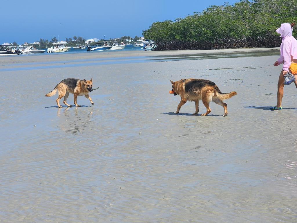 PINE RIDGE AT MARTIN DOWNS CONDO - Residential