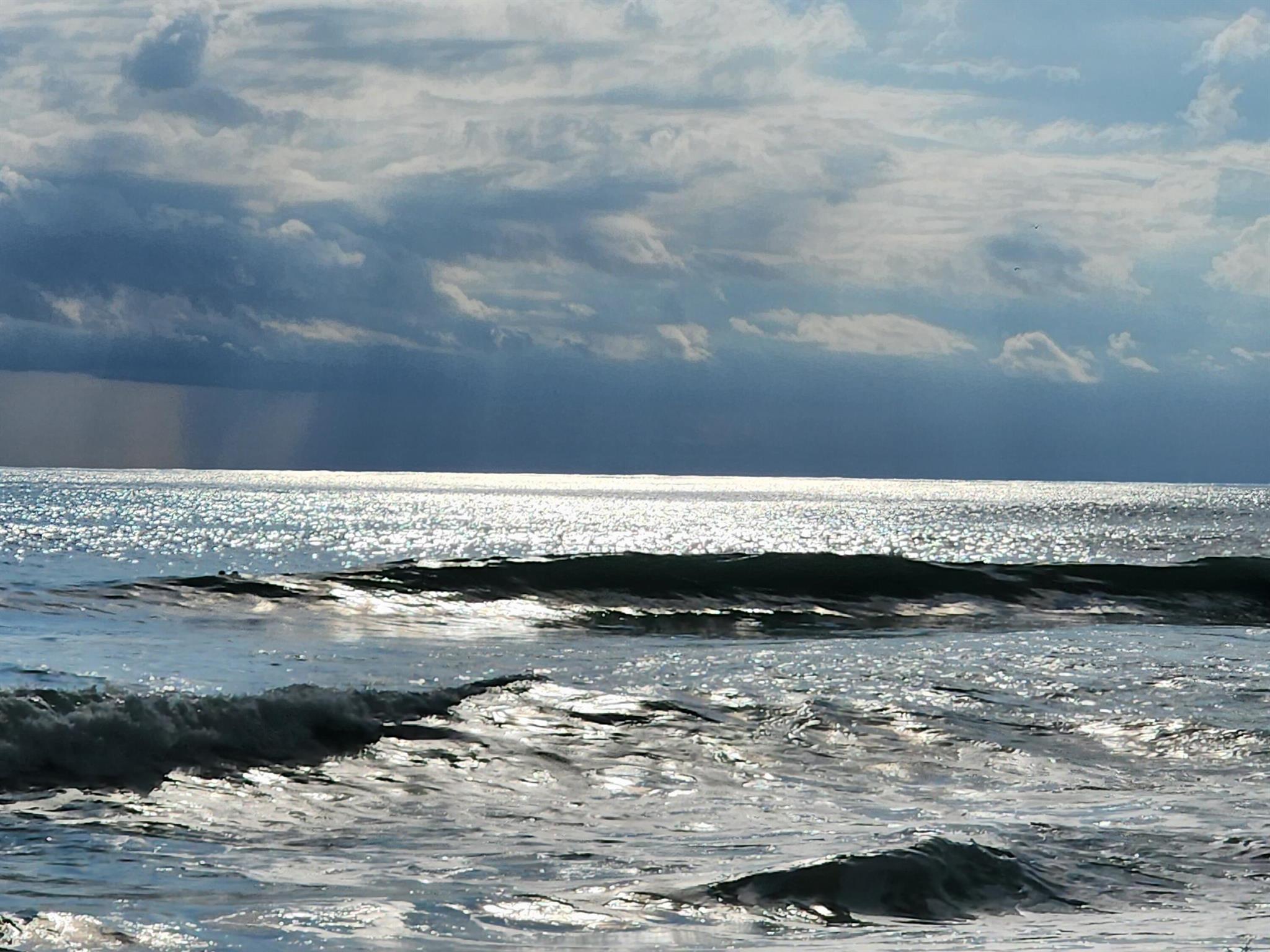 PINE RIDGE AT MARTIN DOWN - Residential