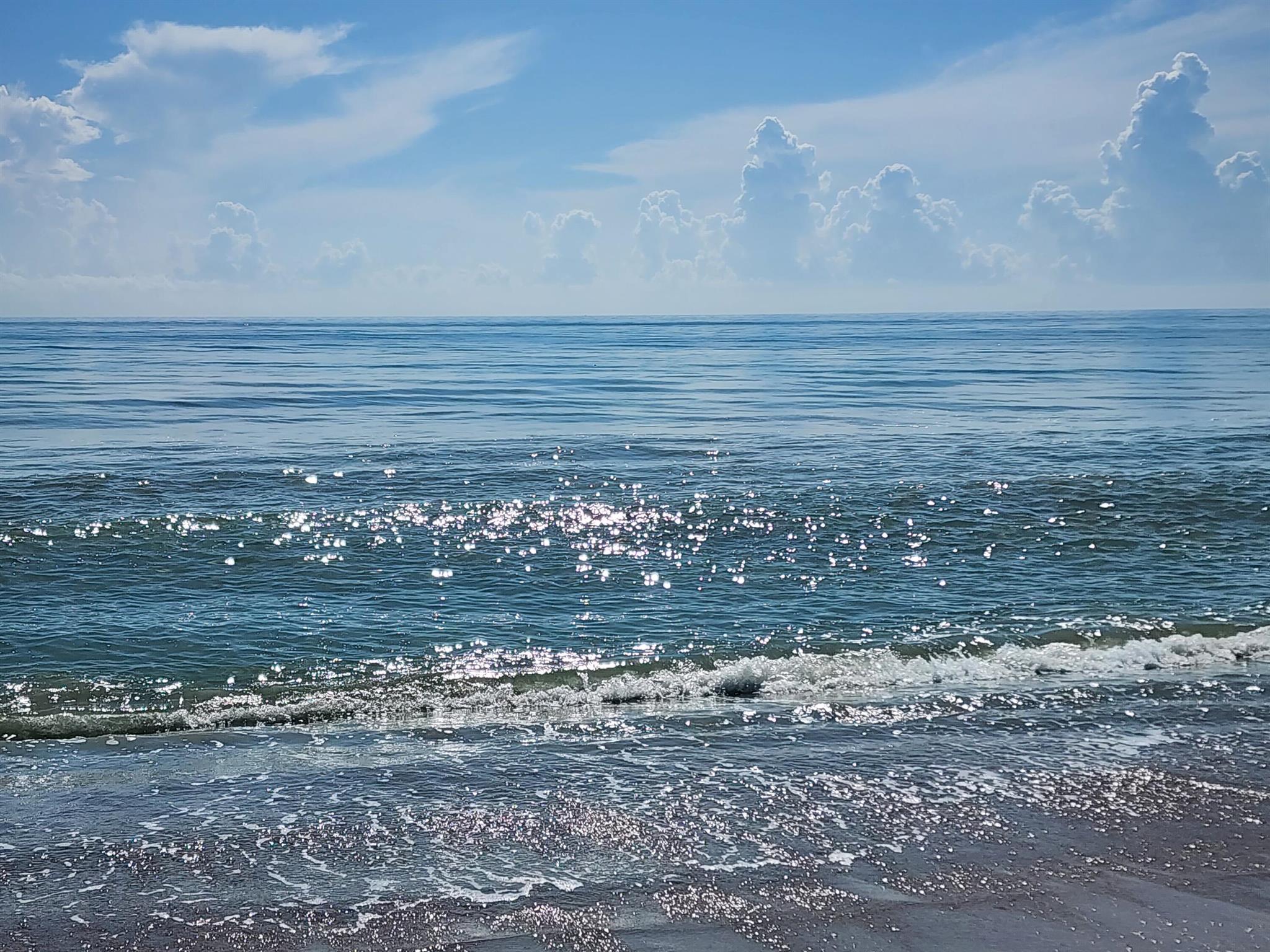 PINE RIDGE AT MARTIN DOWN - Residential