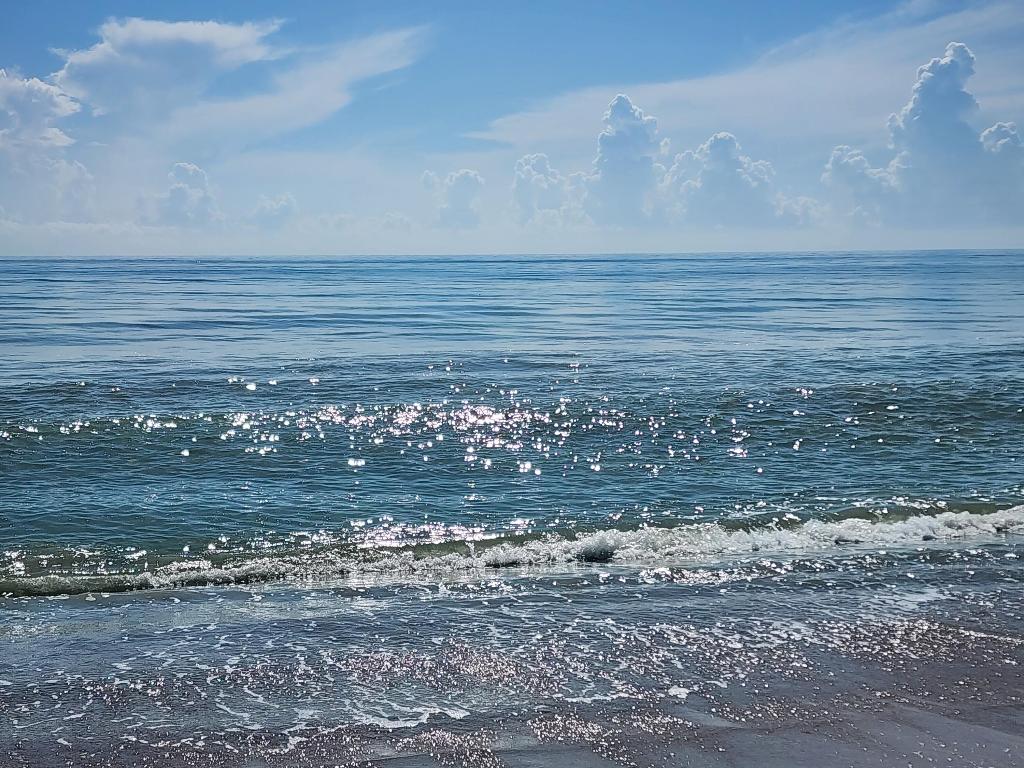 PINE RIDGE AT MARTIN DOWNS CONDO - Residential