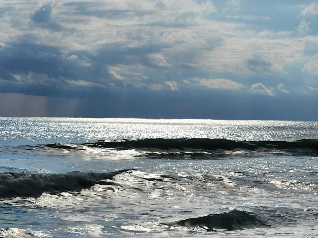 PINE RIDGE AT MARTIN DOWNS CONDO - Residential