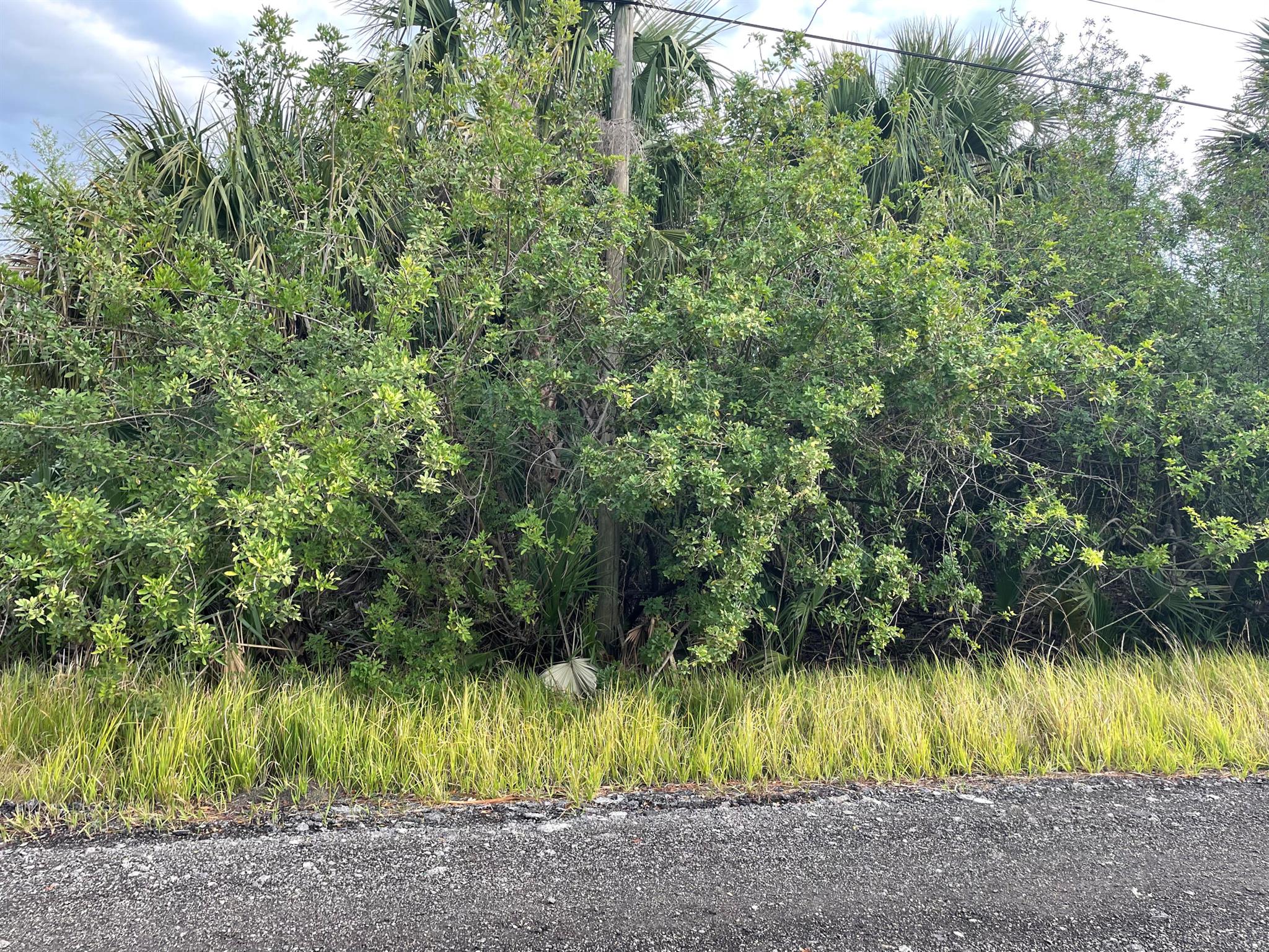 This .23-acre lot zoned RS2, is residential, single family. Build your dream home! The area is growing. Don't miss the opportunity to secure a lot.