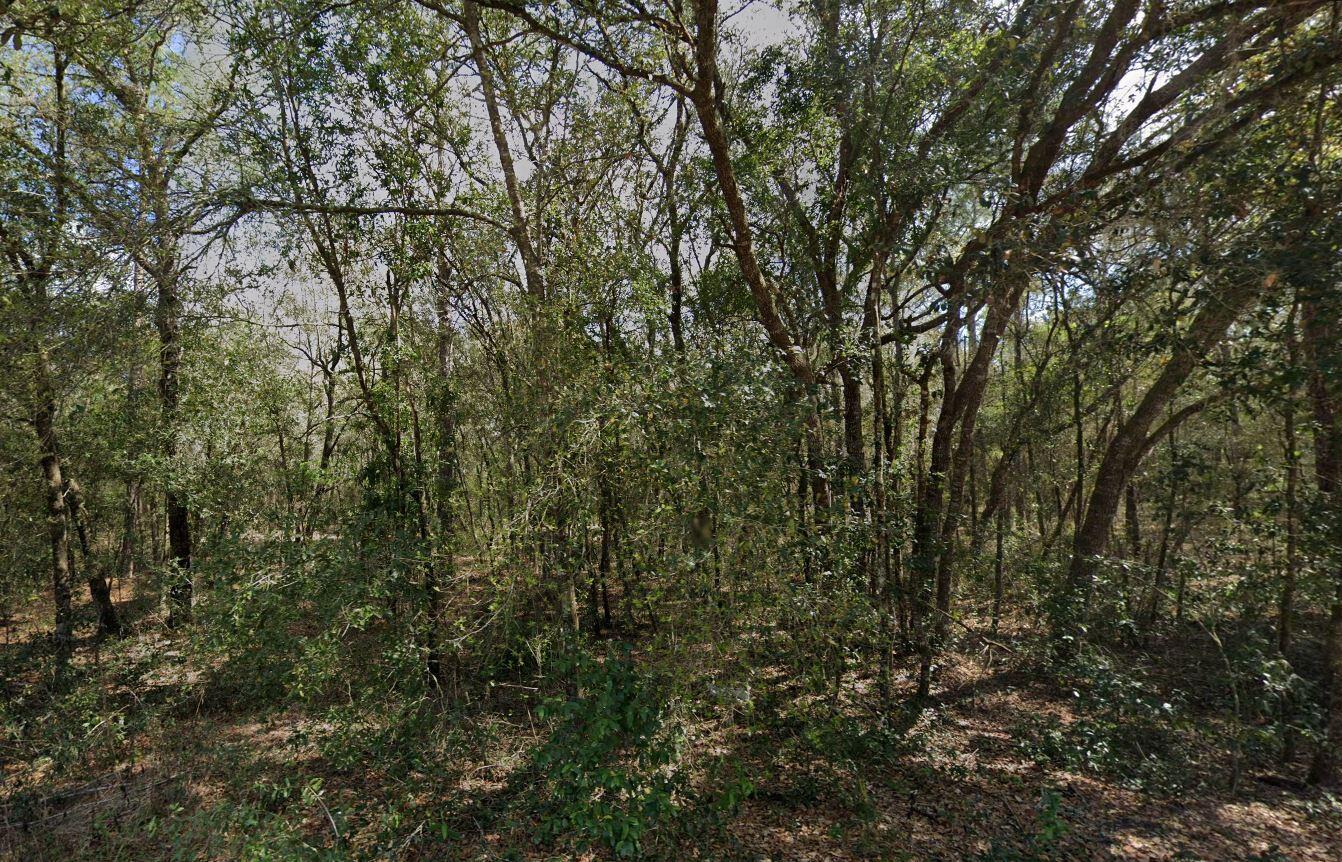138 SE 8th Avenue