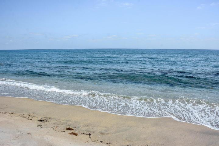 DORCHESTER OF PALM BEACH - Residential Lease