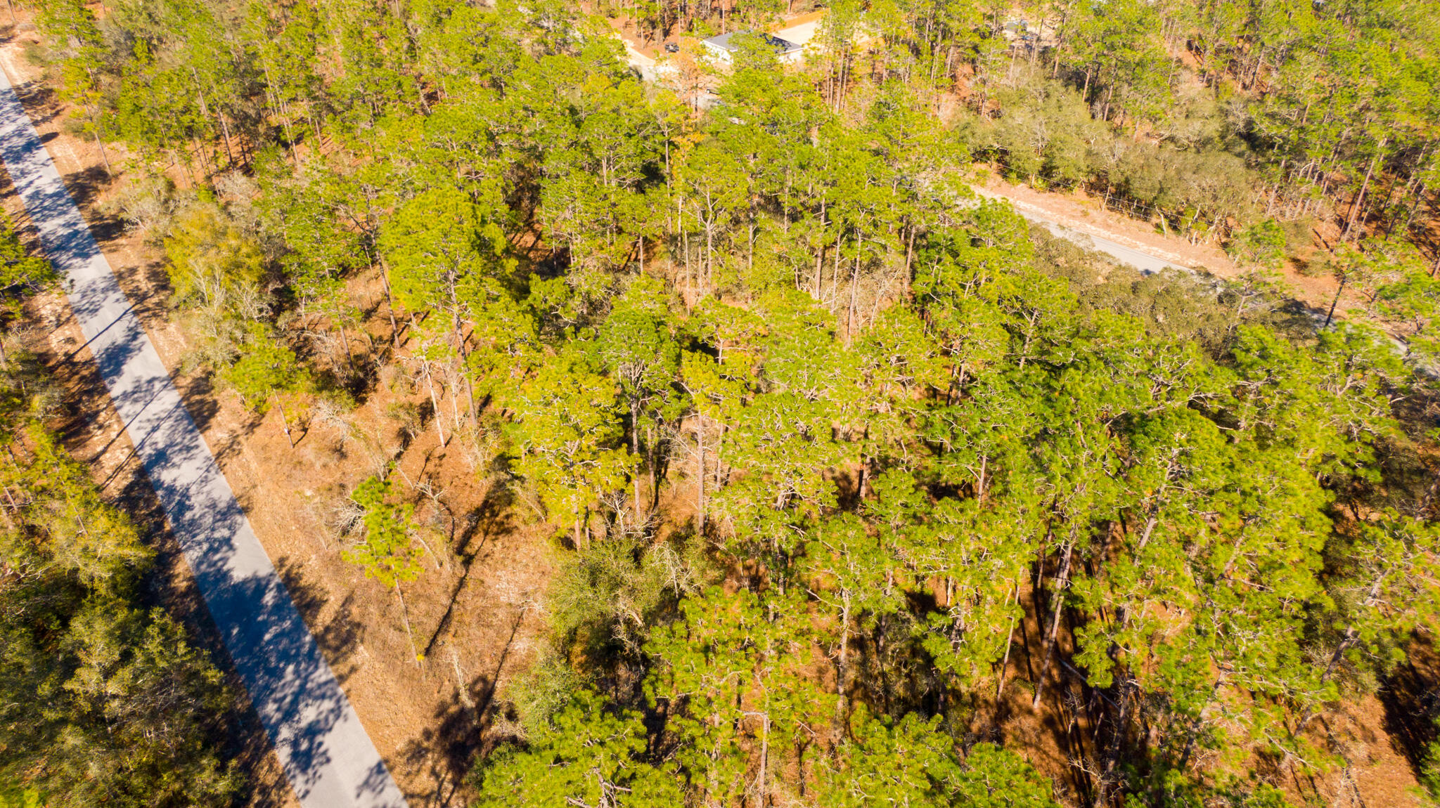 RAINBOW LAKES ESTATES SEC O RESUB - Land