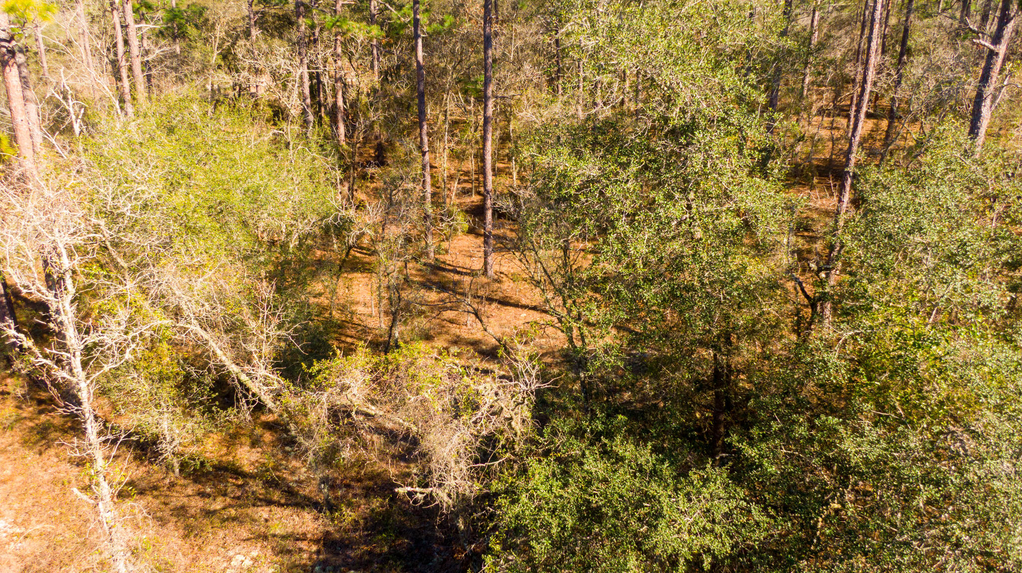 RAINBOW LAKES ESTATES SEC O RESUB - Land