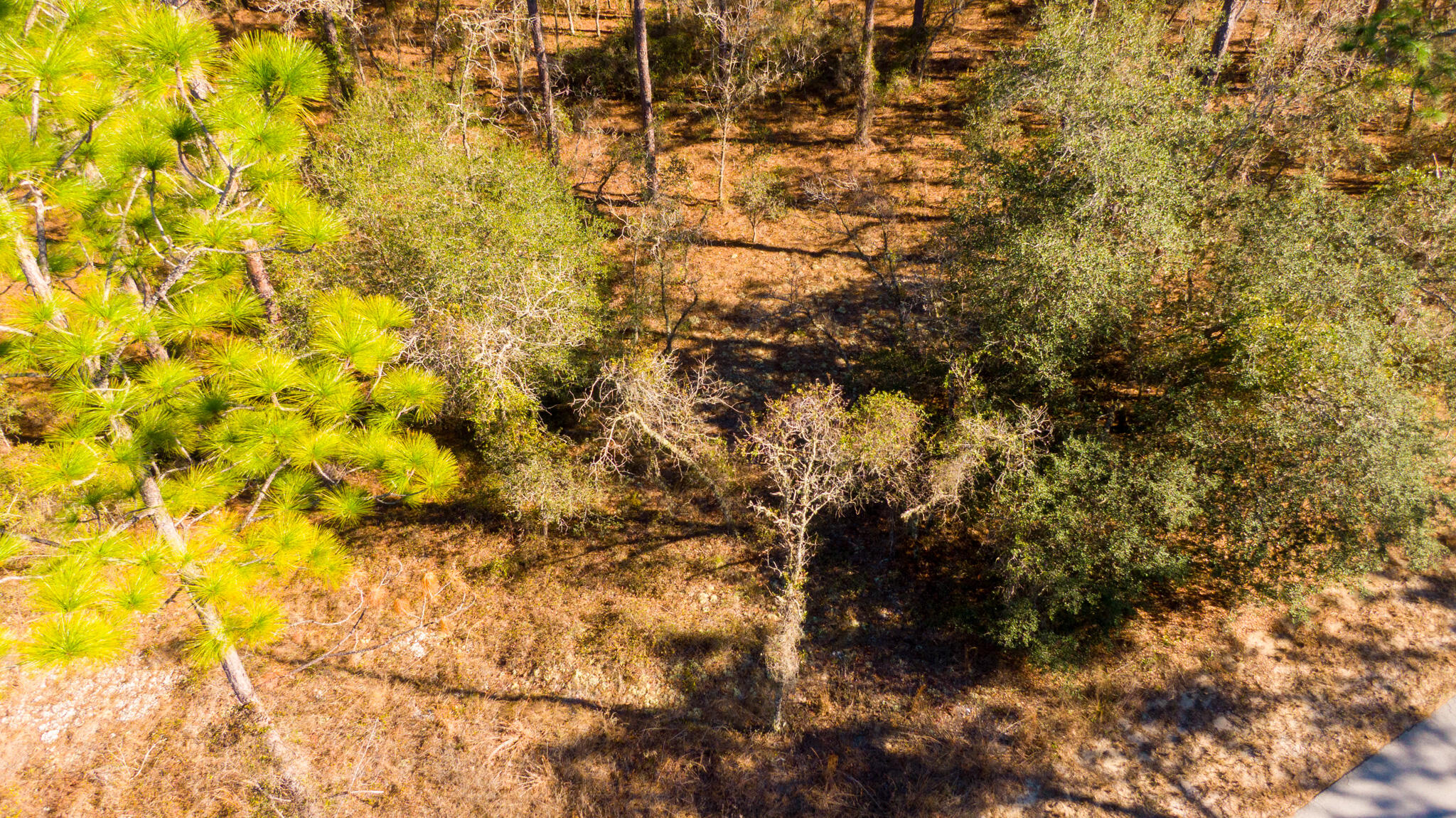 RAINBOW LAKES ESTATES SEC O RESUB - Land