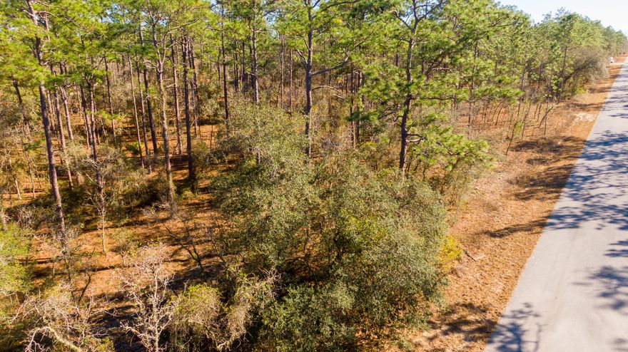 Discover the perfect spot for your dream home or investment venture on this spacious .25 acre lot. Seize the opportunity to bring your vision to life today!