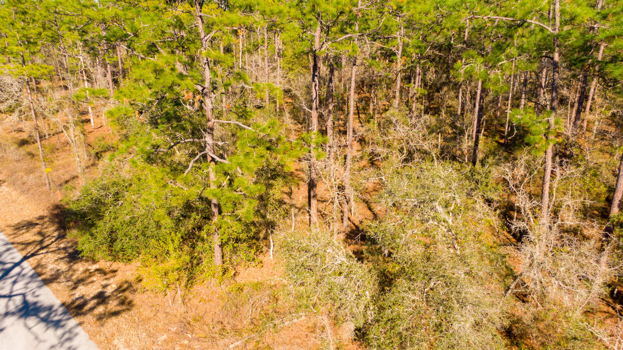 RAINBOW LAKES ESTATES SEC O RESUB - Land