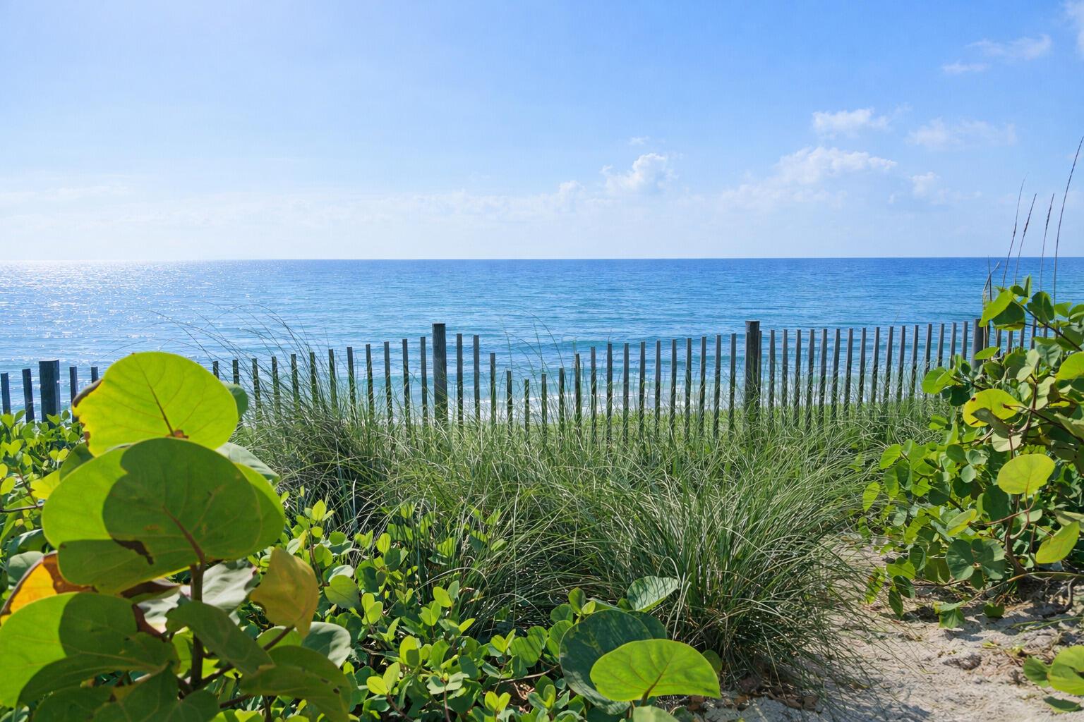 WATERSIDE VILLAGE OF PALM - Residential Lease