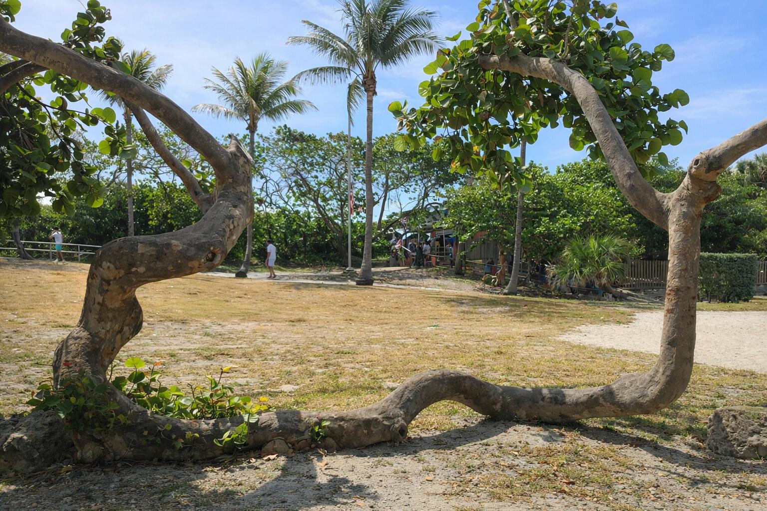 WATERSIDE VILLAGE OF PALM - Residential Lease