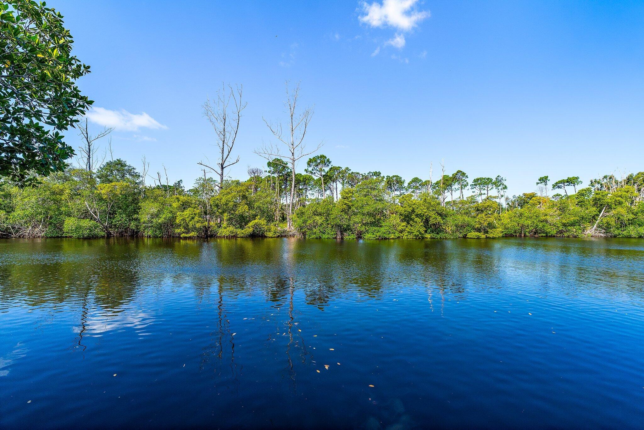 FERNWOOD CREEK - Residential