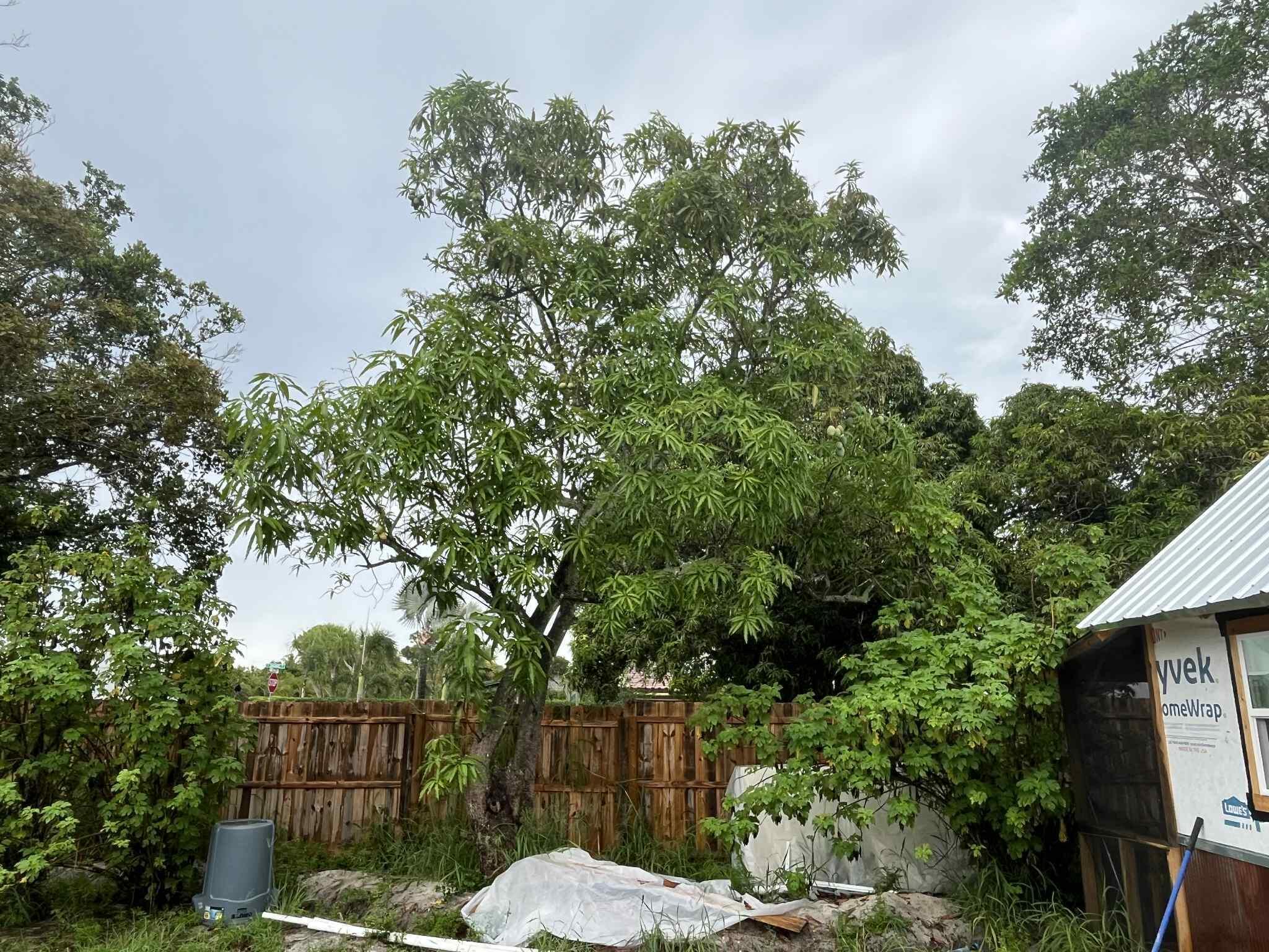 LUNDYS SUBDIVISION - Land