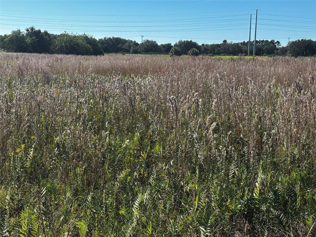 Sherman Wood Ranches - Land