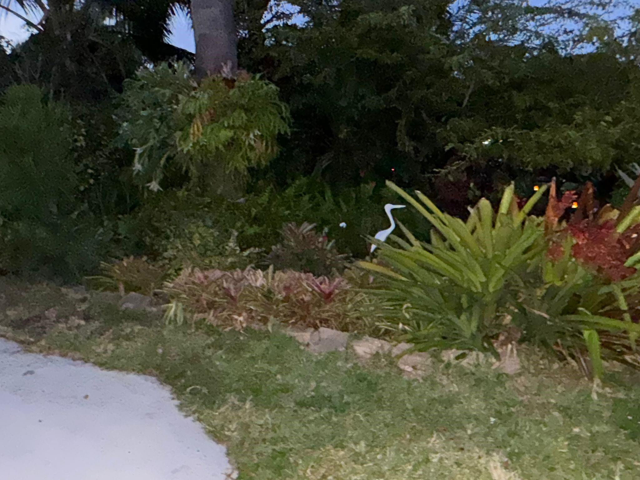 North Andrews Terrace Sec - Residential Lease